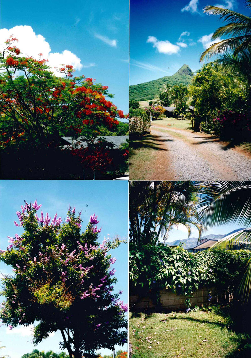 doc02184220211005222707_001