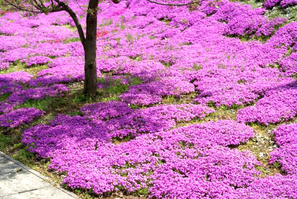 13151458_1068729063222552_3000243528786554089_n