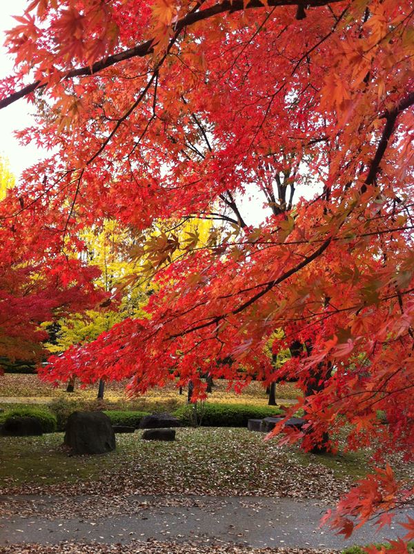 10339699_774161986012596_5632816750438367084_n