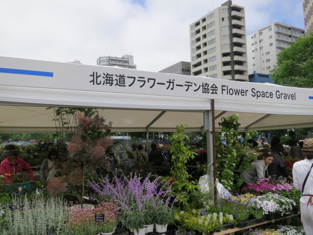 花フェスタ14札幌 札幌 大通公園 東急沿線探検ブログ 花フェスタ14札幌 札幌 大通公園 東急沿線探検ブログ