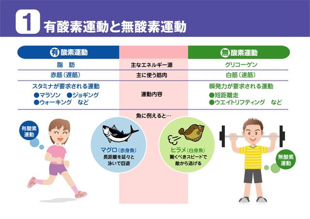 有酸素運動と無酸素運動 Let S Body Make
