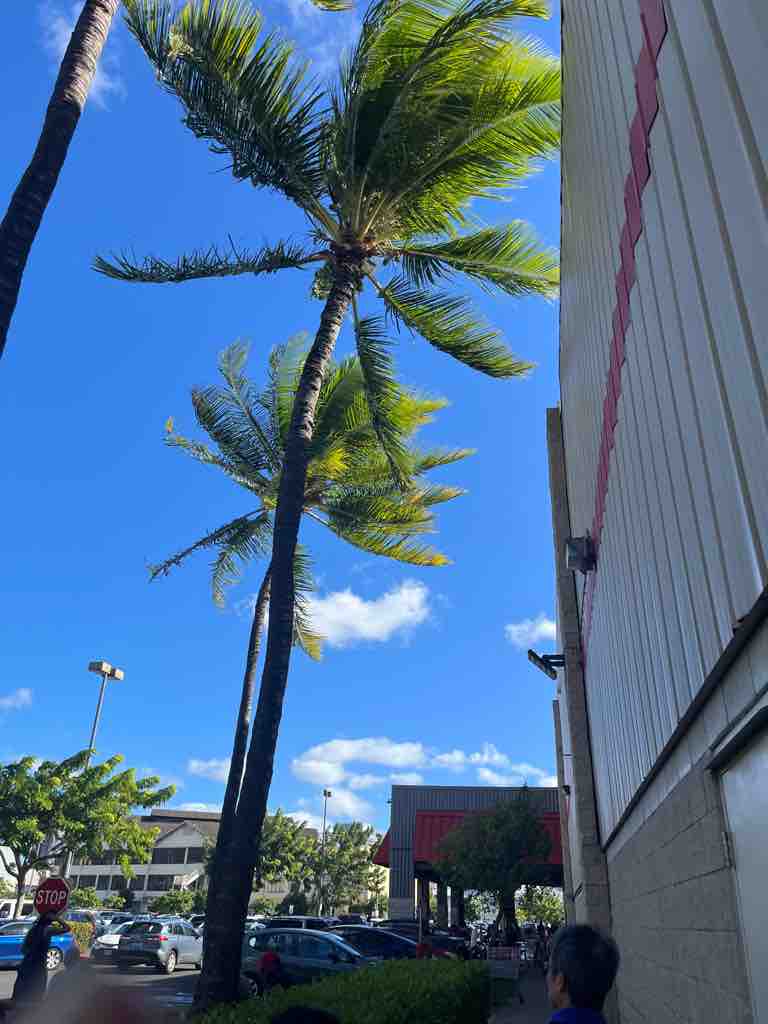 ☆ハワイのCOSTCO に行ったら 門前払いだった、、、 : まゆりん＠ぶろぐⅡ