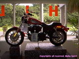 ab4229b9.jpg