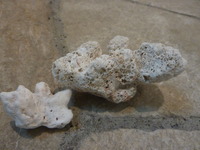 P1110542