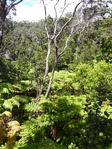 P1070053