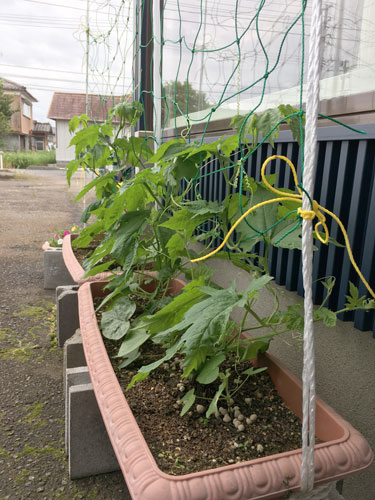 green2018_13