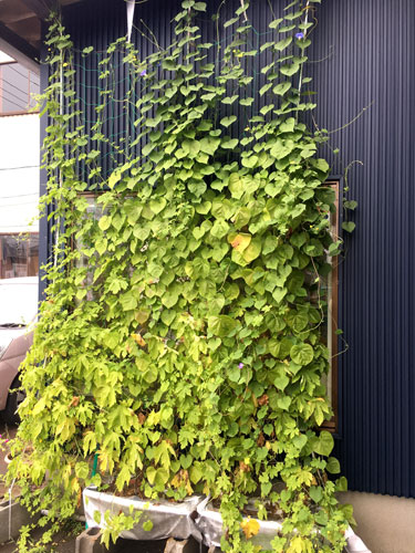 green2018_51