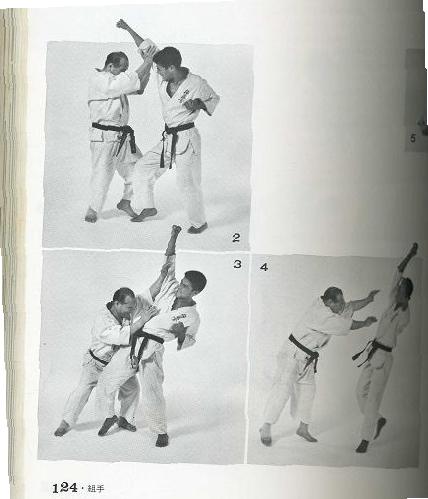 転掌 掌底あげ崩し : 武術雑感