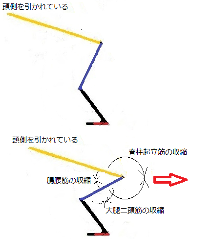 少林寺拳法 分析 武術雑感 少林寺拳法 分析 武術雑感