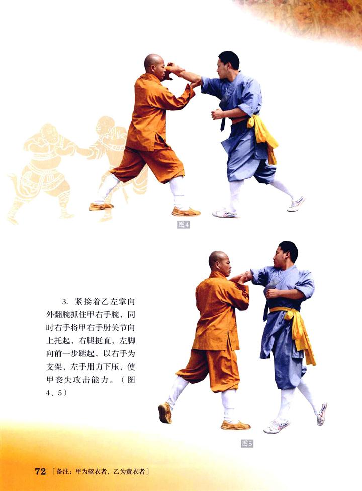 少林寺拳法 少林拳 擒拿三十二手比較 武術雑感 少林寺拳法 少林拳 擒拿三十二手比較 武術雑感