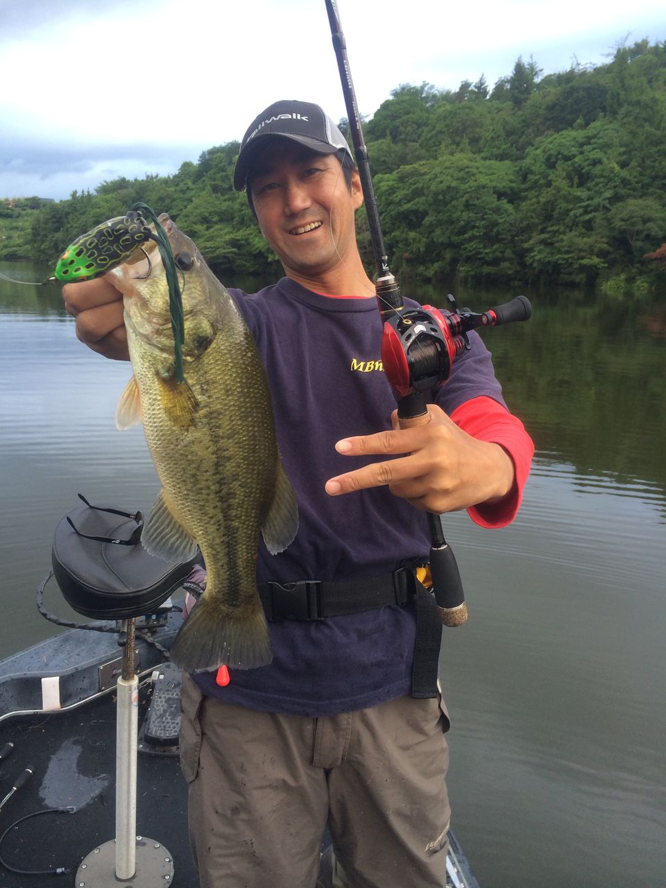 まるりんの野池フロッグ Tailwalk開発日記