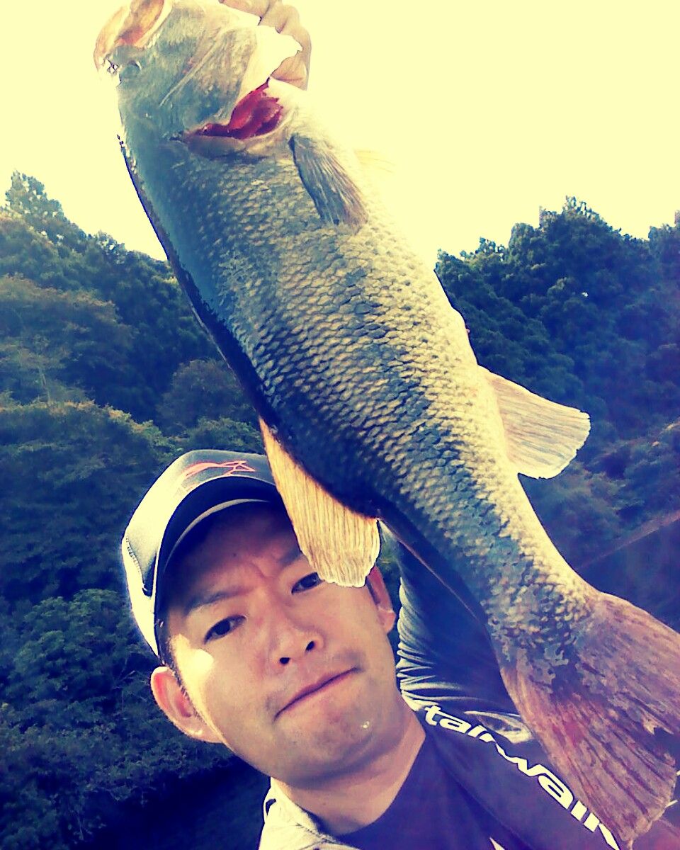 16年09月 Tailwalk開発日記 16年09月 Tailwalk開発日記