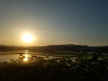 20190527_181313