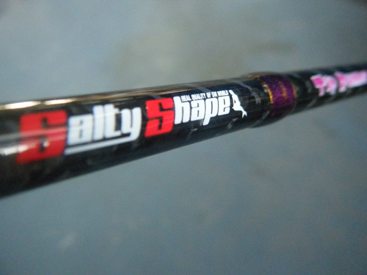 ソルティシェイプ ティップランナー : テイルウォーク開発日記