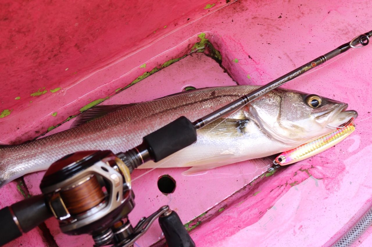 Mb X48coreでシーバスジギング テイルウォーク開発日記