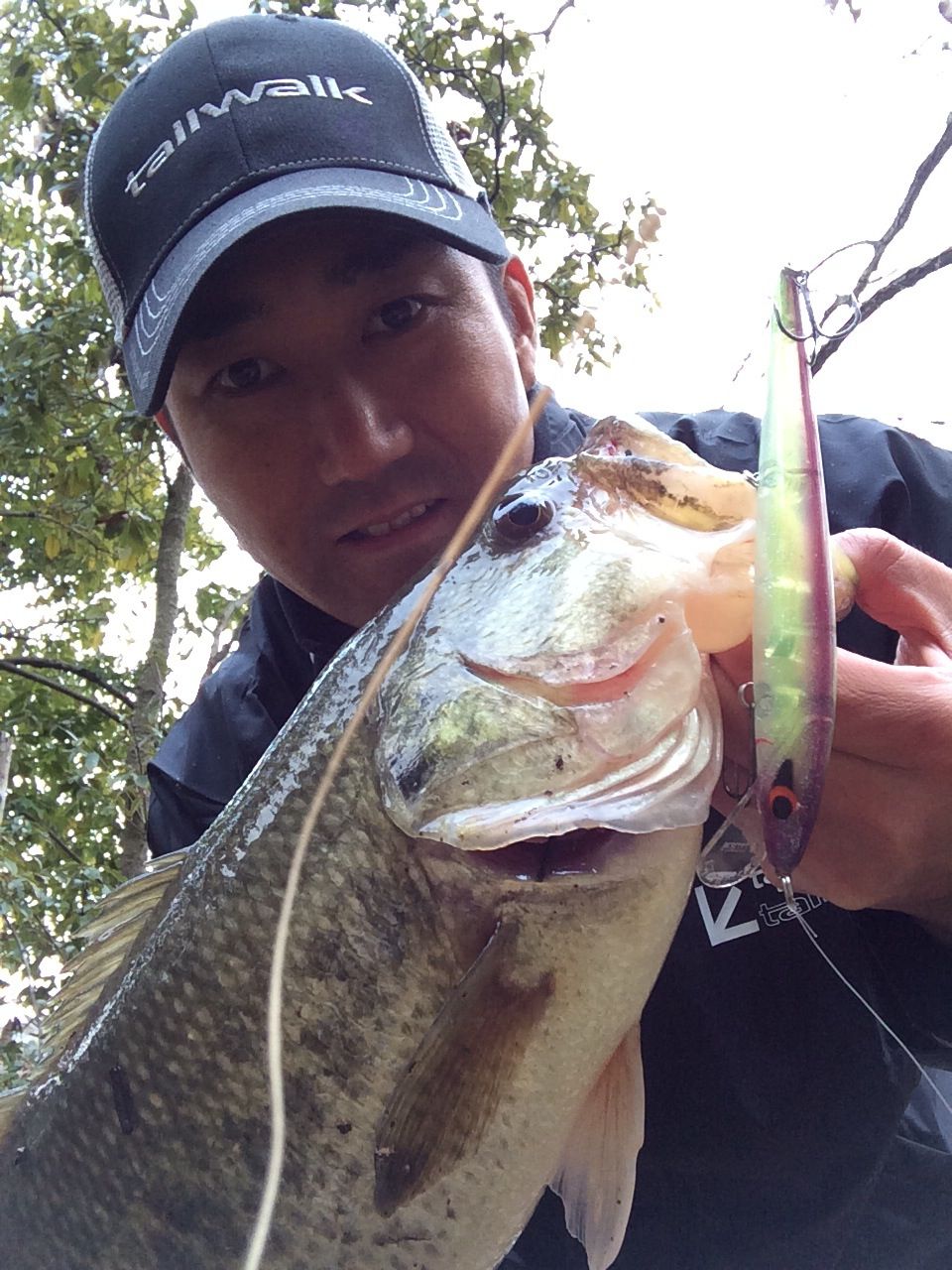 まるりん春バス情報 Tailwalk開発日記