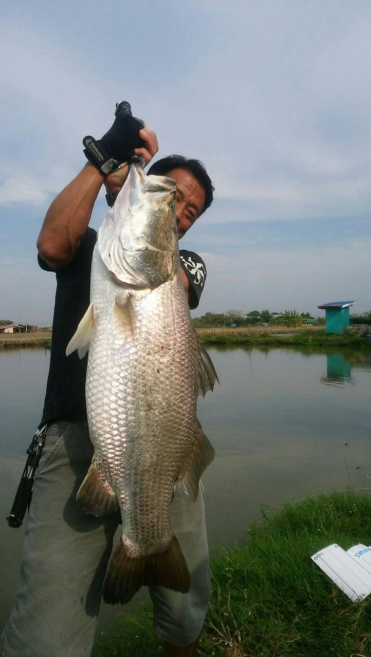 バンコクでナマゾン Tailwalk開発日記