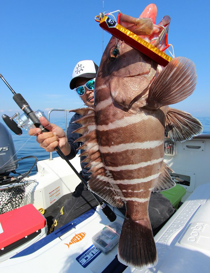 テイルウォーク スローバンプ SSD 634/FSL (ベイトモデル)