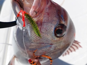 648579823_4276979105852090_1716207842355221194_n