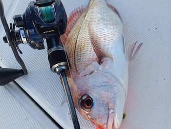 649525755_4276979109185423_5072502546847547694_n