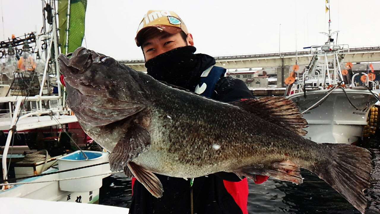 北海道より Tailwalk開発日記
