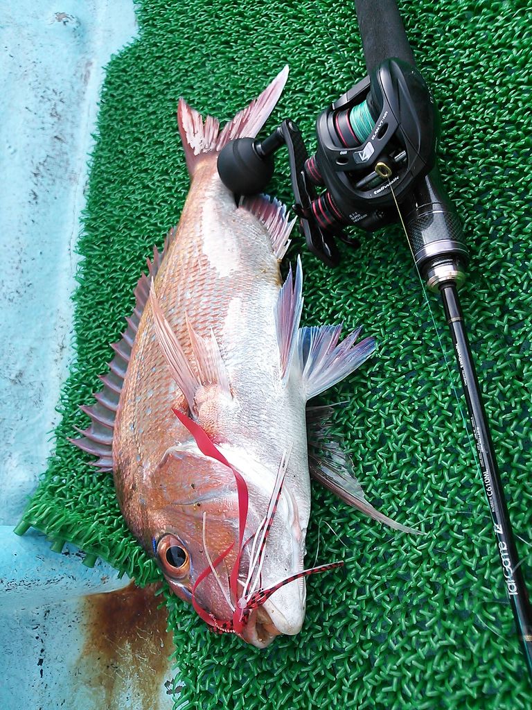 秋田県男鹿半島のタイラバ Tailwalk開発日記 秋田県男鹿半島のタイラバ Tailwalk開発日記