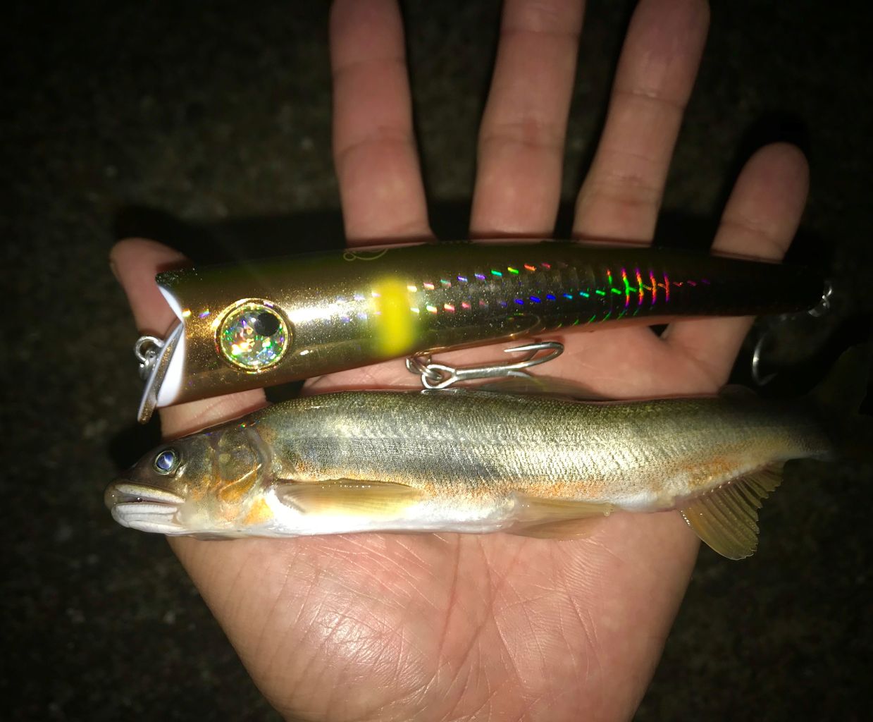 HI-TIDE TZで落ち鮎パターンのリバーシーバス！ : テイルウォーク開発日記