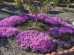 IMG_0063