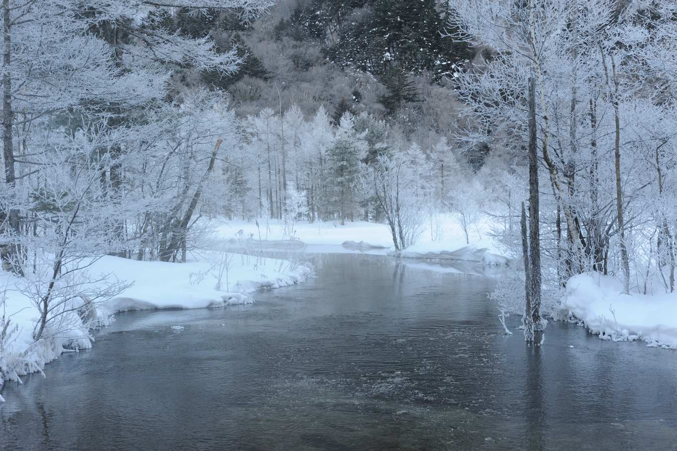 冬の上高地 09 12 29 その２ 大正池 田代池 河童橋 Nature Walk トレッキング ドライブ日記