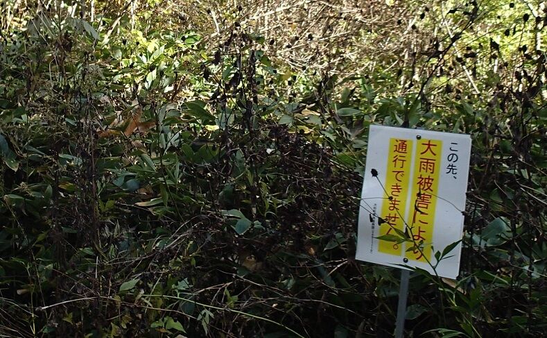 PA300027 - コピー