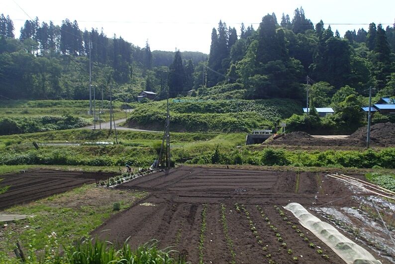P6210011 - コピー
