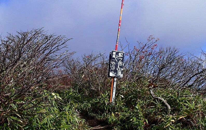 PA290025 - コピー