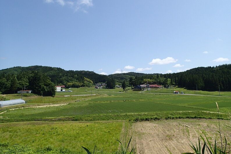 P6130022 - コピー