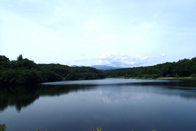 富１８