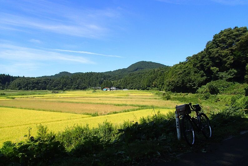 P9140035 - コピー