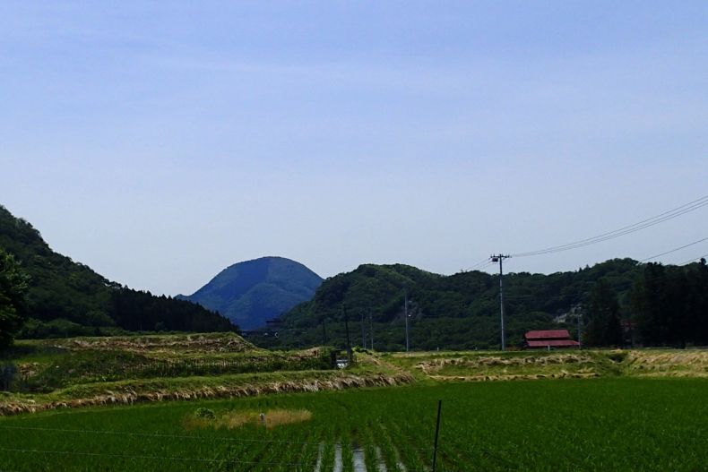富１５