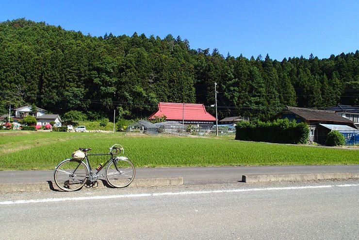 P6130014 - コピー