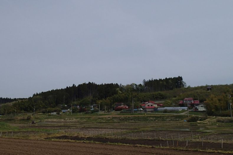 岩出15