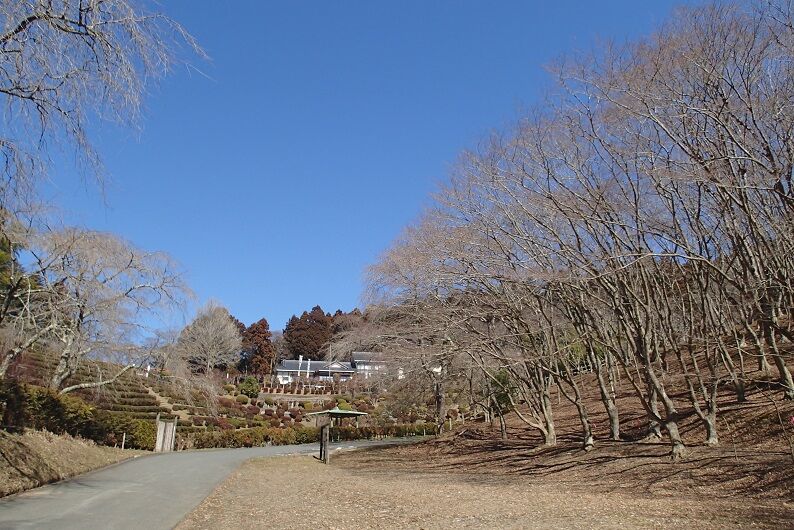 P3050068 - コピー