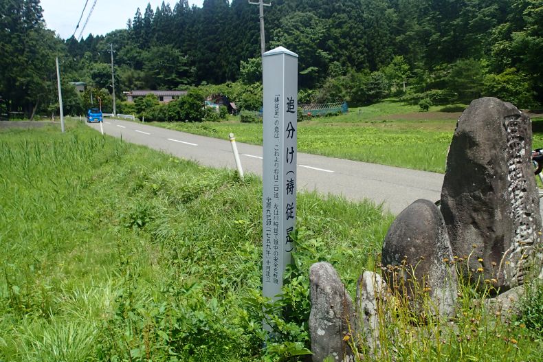 秋１１