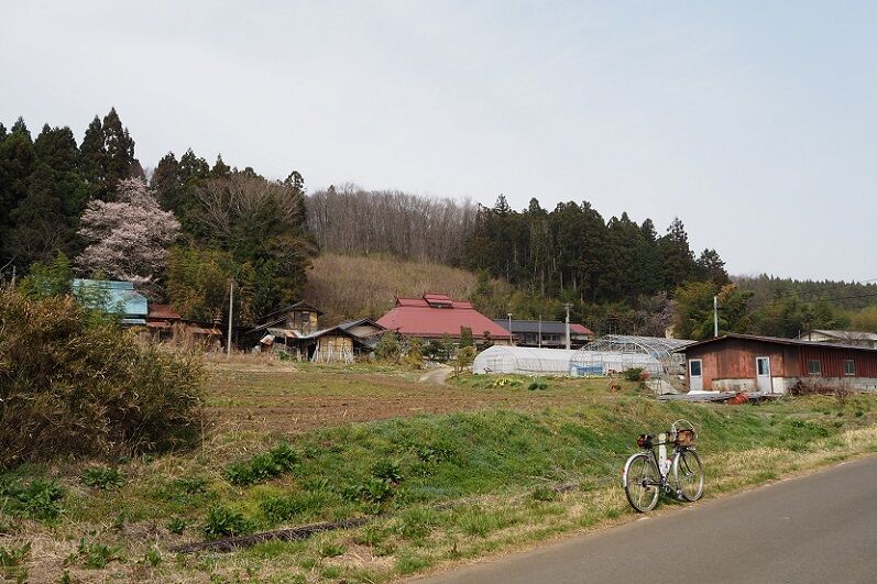 P3300113 - コピー