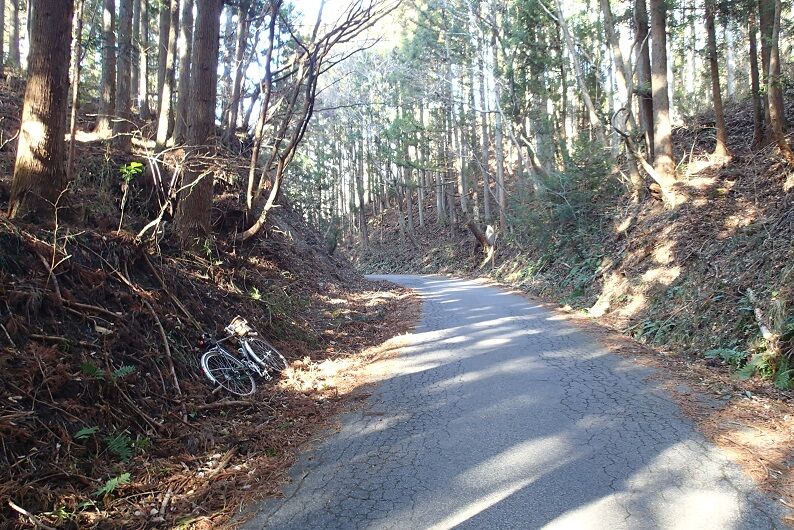 P1240001 - コピー
