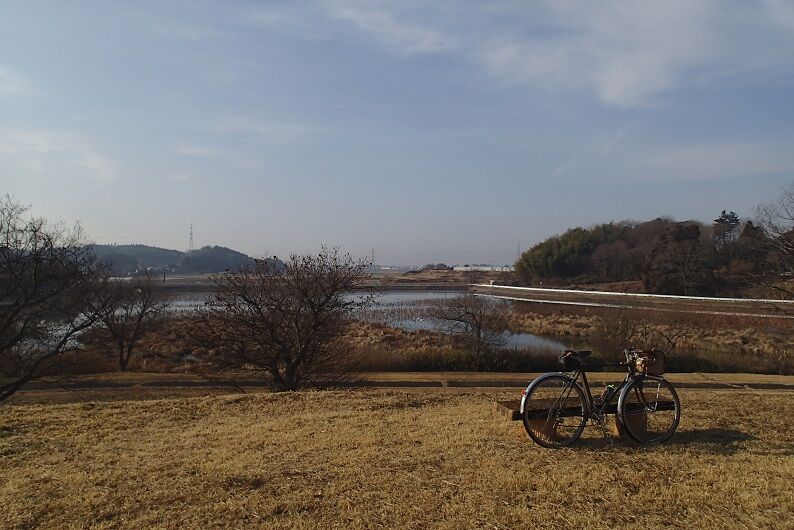 P1130012 - コピー