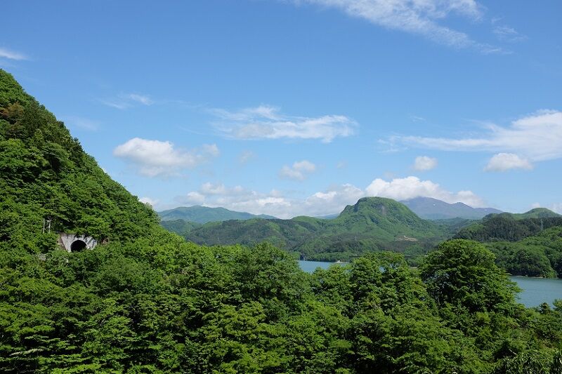 DSCF1181 - コピー