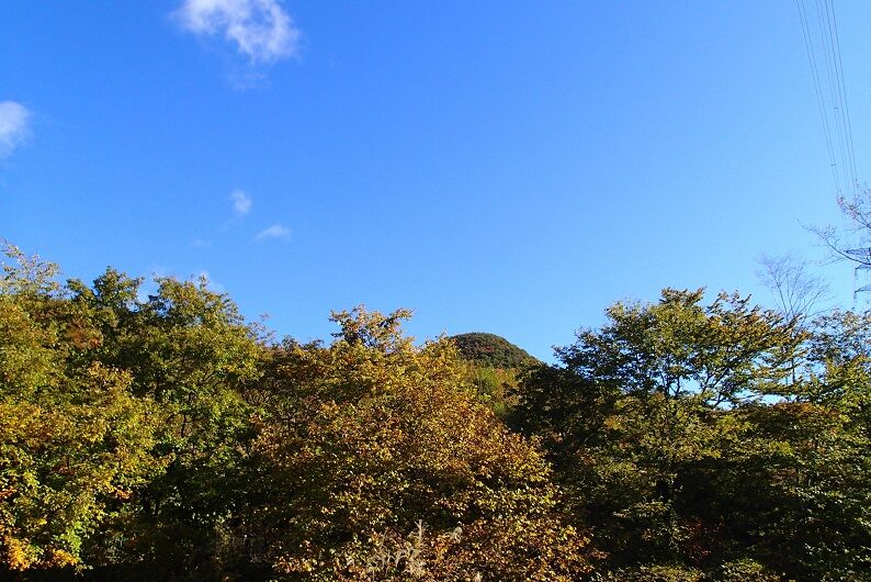 PA300019 - コピー