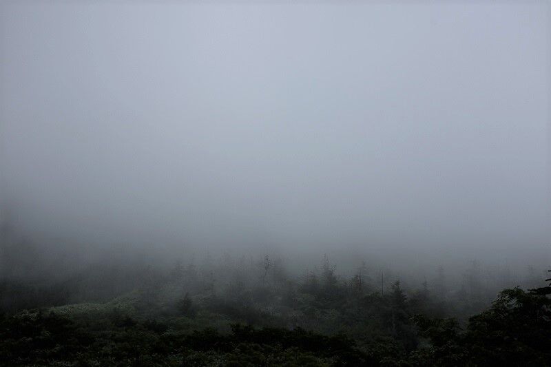 DSCF2063 - コピー