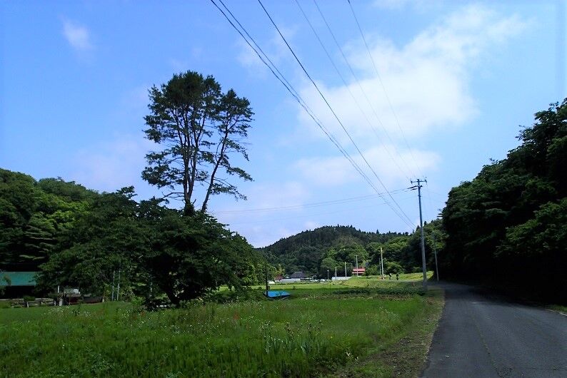 P6100014 - コピー