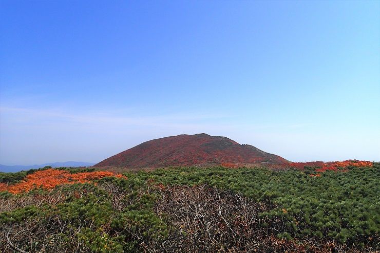 PA020054 - コピー
