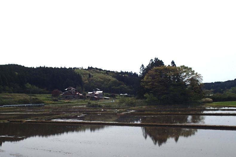 岩出5