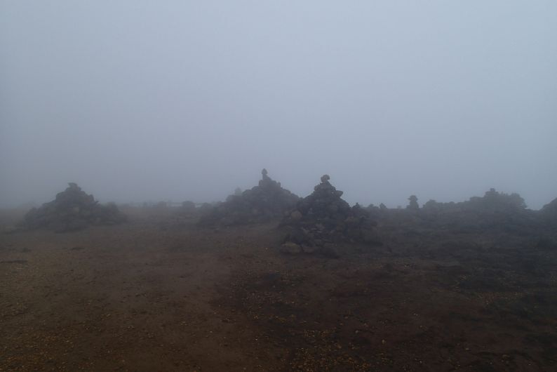 4,刈田